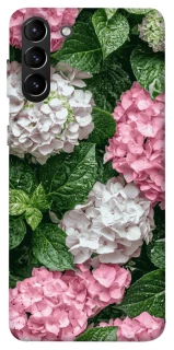 Чехол на Samsung Galaxy S21+ Secret Garden фото 1 из 1