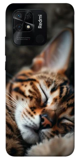 Чехол на Xiaomi Redmi 10C Cat paws фото 1 из 1