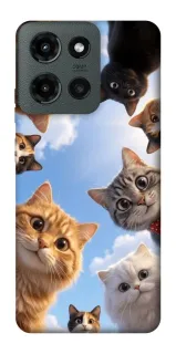 Чехол на Motorola Moto G Power (2025) Cats фото 1 из 1