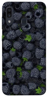 Чохол на Samsung Galaxy A20 / A30 Fresh фото 1 з 1