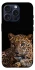 Чохол на Apple iPhone 15 Pro (6.1") Leopard v4 фото 1 з 1