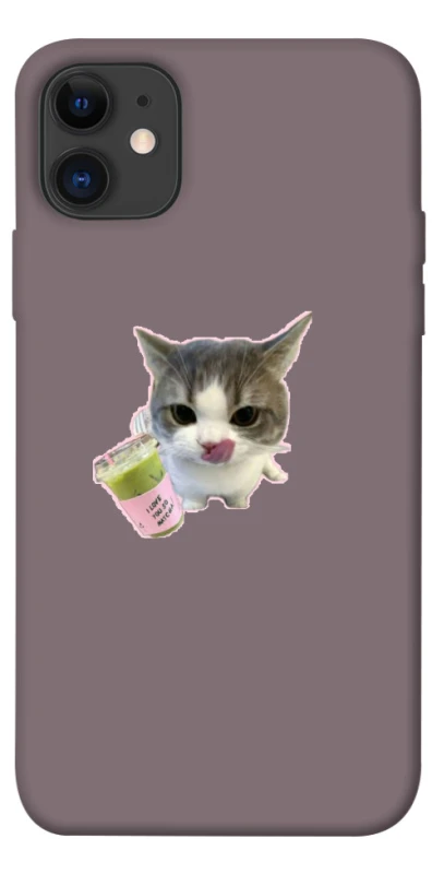 Чохол на Apple iPhone 11 (6.1") cat matcha фото 1 з 1