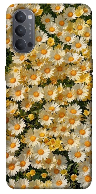 Чохол на Oppo Reno 4 Camomile фото 1 з 1