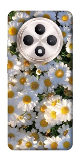 Чохол на Oppo Reno 12 F 4G/5G Поле ромашок фото 1 з 1