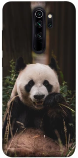 Чехол на Xiaomi Redmi Note 8 Pro Панда фото 1 из 1