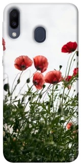 Чохол на Samsung Galaxy M20 Поле маків фото 1 з 1