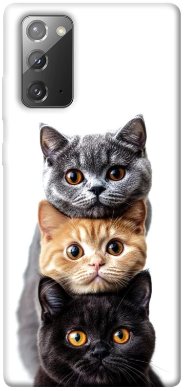 Чохол на Samsung Galaxy Note 20 Гарні котики фото 1 з 1