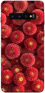 Чехол на Samsung Galaxy S10 Midnight1 фото 1 из 1