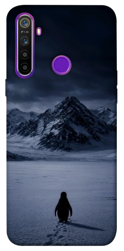 Чохол на Realme 5 But why? фото 1 з 1