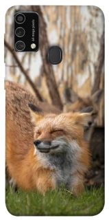 Чехол на Samsung Galaxy M21s Лиса фото 1 из 1