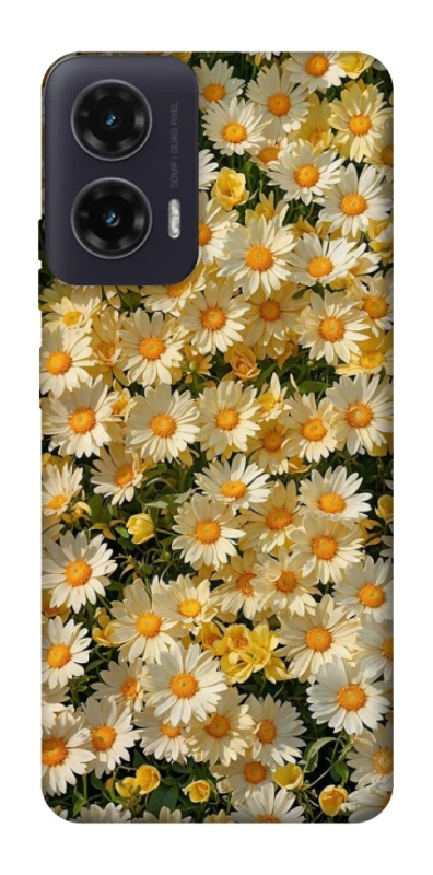 Чохол на Motorola Moto G35 Camomile фото 1 з 1