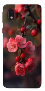 Чехол на Samsung Galaxy M01 Core / A01 Core Flowers v28 фото 1 из 1