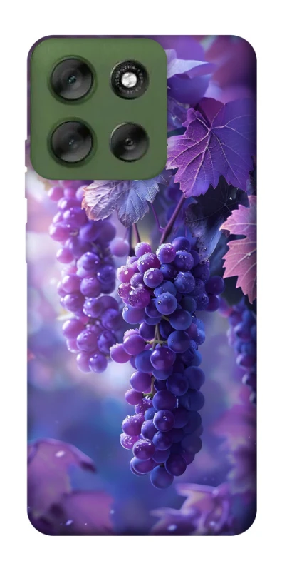 Чохол на Motorola Moto G56 5G Bunch of grapes фото 1 з 1
