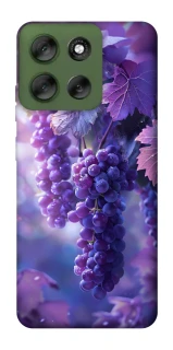 Чохол на Motorola Moto G56 5G Bunch of grapes фото 1 з 1