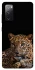 Чохол на Samsung Galaxy S20 FE Leopard v4 фото 1 з 1