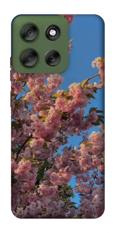Чохол на Motorola Moto G56 5G Flowers v4 фото 1 з 1