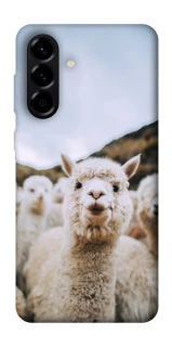 Чехол на Samsung Galaxy A57 5G Лама фото 1 из 1