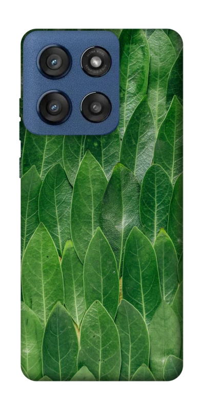 Чохол на Motorola Edge 60 Stylus Листя фото 1 з 1