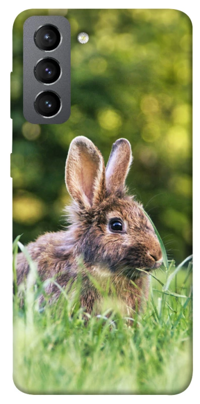 Чохол на Samsung Galaxy S21 FE Кролики фото 1 з 1