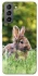 Чохол на Samsung Galaxy S21 FE Кролики фото 1 з 1