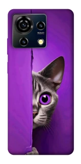 Чохол на ZTE Blade V50 Vita Кіт-підглядач фото 1 з 1