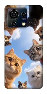 Чехол на ZTE Blade V50 Vita Cats фото 1 из 1