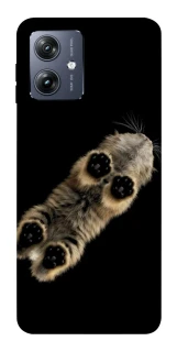 Чохол на Motorola Moto G54 Cat фото 1 Чохол на Motorola Moto G54 Cat фото 1 з 1