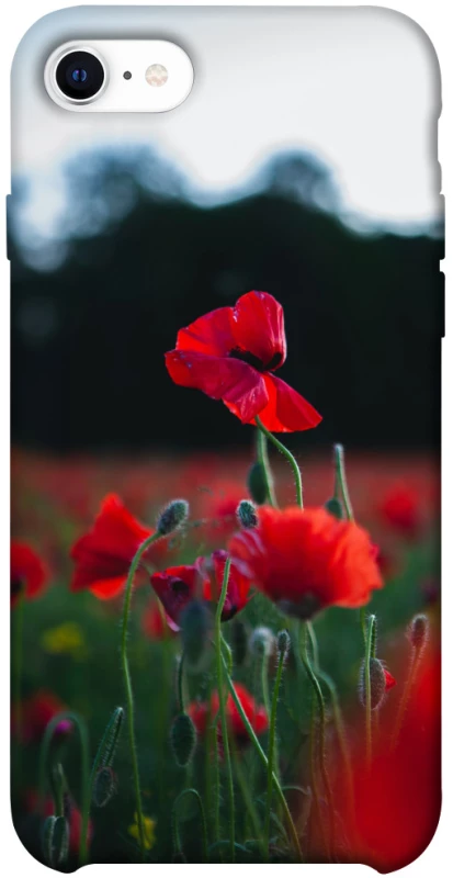 Чехол на Apple iPhone SE (2020) Мак фото 1 из 1