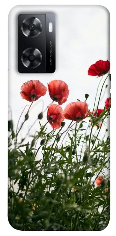 Чехол на Oppo A77s Поле маков фото 1 из 1