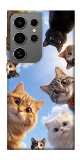 Чехол на Samsung Galaxy S24 Ultra Cats фото 1 из 1