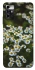Чехол на ZTE Blade A72 Ромашки v13 фото 1 из 1