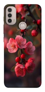 Чехол на Motorola Moto E40 Flowers v28 фото 1 из 1