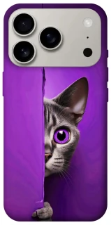 Чохол на Apple iPhone 17 Pro (6.3") Кіт-підглядач фото 1 з 1