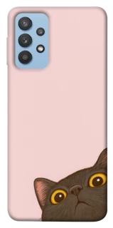 Чохол на Samsung Galaxy M32 Peeping cat фото 1 з 1