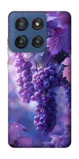 Чехол на Motorola Edge 60 Stylus Bunch of grapes фото 1 из 1