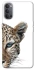 Чохол на Oppo Reno 4 Leopard Art v2 фото 1 з 1