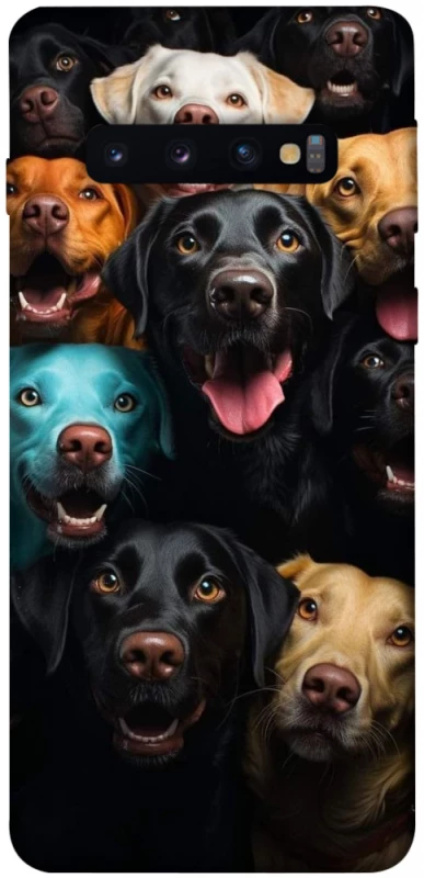 Чехол на Samsung Galaxy S10 Собаки фото 1 из 1