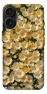 Чохол на Apple iPhone 17 (6.3") Camomile фото 1 з 1