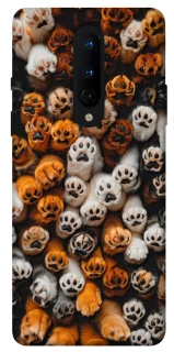 Чохол на OnePlus 8 Сat paws фото 1 з 1