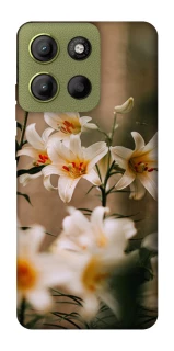 Чохол на Motorola Moto G15 4G Лілії фото 1 з 1