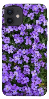 Чохол на Apple iPhone 12 (6.1") Flowers v17 фото 1 з 1