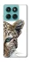 Чохол на Motorola Edge 60 Fusion Leopard Art v2 фото 1 з 1