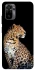 Чохол на Xiaomi Poco M5s Leopard v2 фото 1 з 1