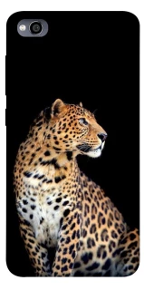 Чохол на Xiaomi Redmi 4a Leopard v2 фото 1 з 1