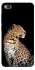 Чехол на Xiaomi Redmi 4a Leopard v2 фото 1 из 1