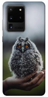 Чохол на Samsung Galaxy S20 Ultra Совеня фото 1 з 1