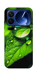 Чохол на Xiaomi 17 Pro Flowers v16 фото 1 з 1