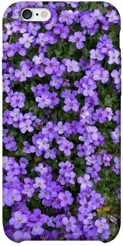 Чехол на Apple iPhone 6/6s plus (5.5") Flowers v17 фото 1 из 1