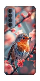 Чохол на Oppo Reno 4 Pro Birdie фото 1 з 1