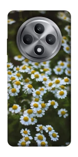 Чехол на Oppo Reno 12 F 4G Ромашки v13 фото 1 из 1
